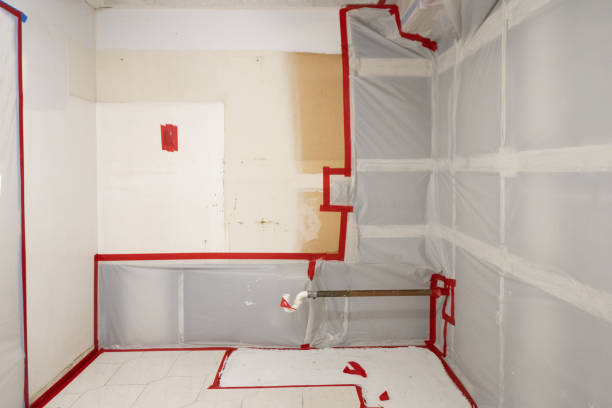 Mold Documentation for Insurance Claims in Lauderdale Lakes, FL